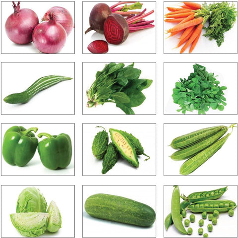 Seeds Combo Kits - Winter Vegetable Seeds Kit (Set of 12 Packets)