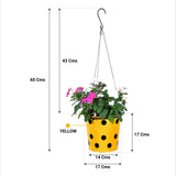 TrustBasket Dotted Round Planter with Hanging Wire Rope