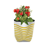 Premium Colorful Stripe Grow Bag - Set of 10 (20*20*35 cm)