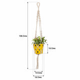 TrustBasket Round Dotted Planter with Contemporary Hanger