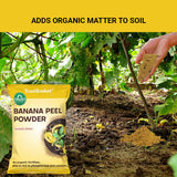 Banana Peel Powder Organic Fertilizer for Plants (450 Grams)