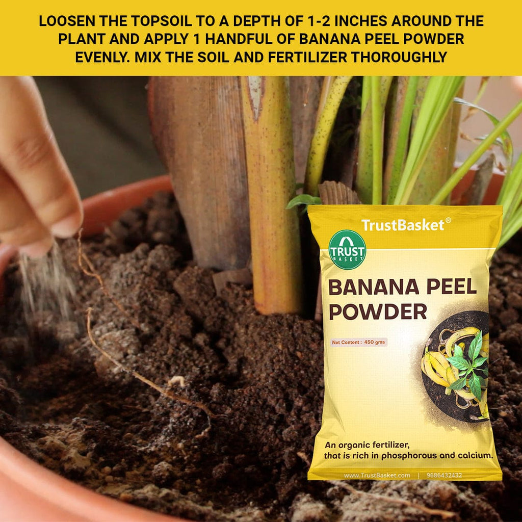 Banana Peel Powder Organic Fertilizer for Plants (450 Grams) TrustBasket