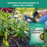 Bone Meal Fertilizer for Plants