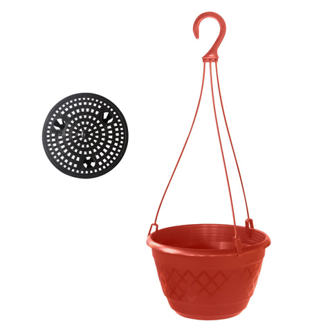 Fern Hanging Basket (Set of 3)