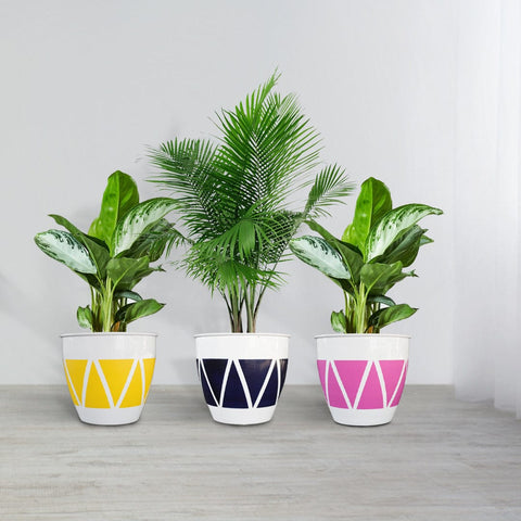 New Arrivals - TrustBasket Ciara Planter (Set of 3)