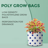 Set of 5 premium colourful Dotted Grow bags (20*20*35 cms)