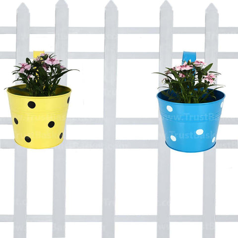 Best Indoor Plant Pots Online - Single Railing Planter (Set Of 2) - Blue & Yellow