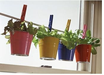 Set of 5 Tiny Bucket Planters - Assorted   Colors