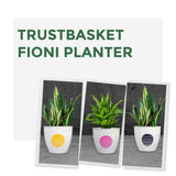 TrustBasket Fioni Planter (Set of 3)