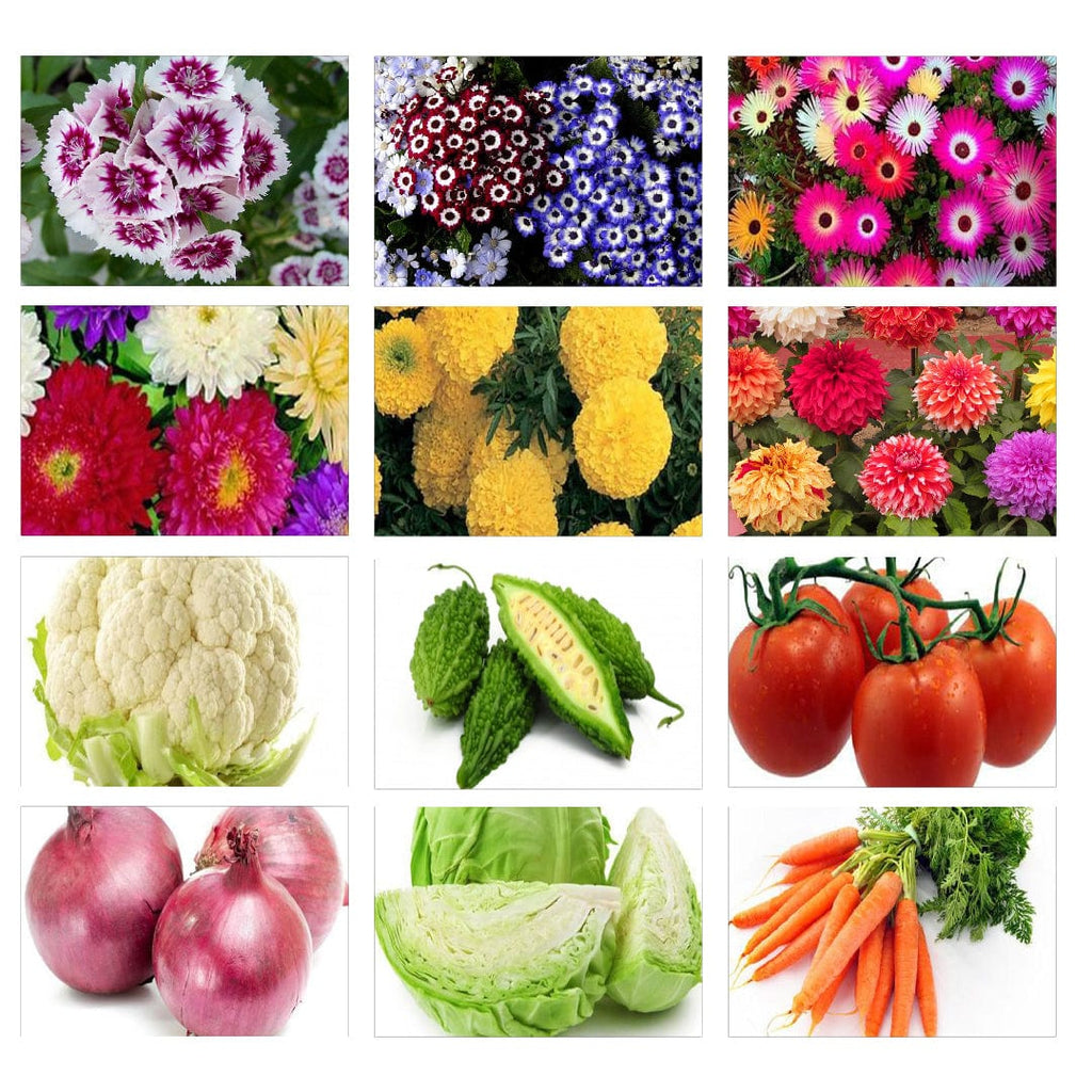 flower and vegetable seeds Winter Vegetable and Flower Seeds Kit (Set of 12) – TrustBasket
