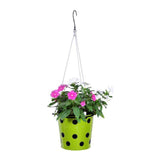 TrustBasket Dotted Round Planter with Hanging Wire Rope