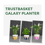 Trustbasket Galaxy Planter (Set of 3)