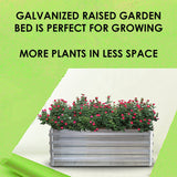 Raised Garden Bed