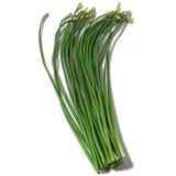 Garlic chives Seeds (Hybrid)
