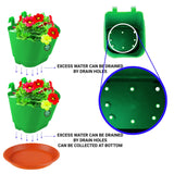 VERTICAL GARDENING POUCHES(Small) - Green