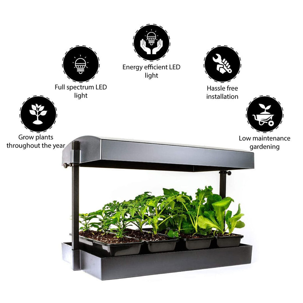 TrustBasket Indoor jungle plant growing system with lights