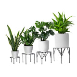 Iris Planter Stand for Flower Pot Heavy Duty Potted Stand Indoor Outdoor Metal Rustproof Iron Garden Container(Set of 4)