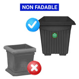 UV Treated  Square Plastic Planter (10 inches)