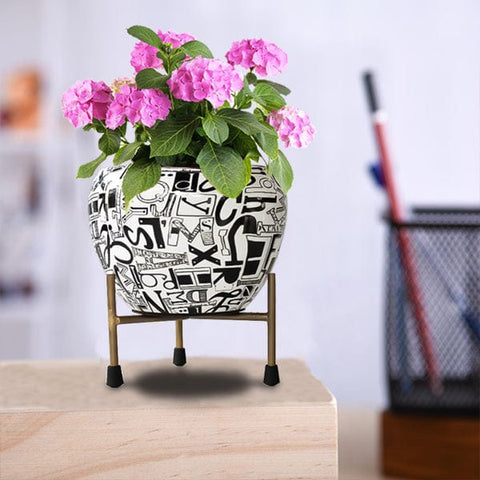 Indoor TableTop Planters - Crocus Flower Planter