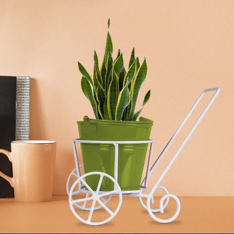 Metal Trolley with assorted color bucket planter