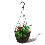 Fern Hanging Basket (Set of 3)