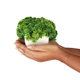Artificial Potted Mushroom Green Shrub