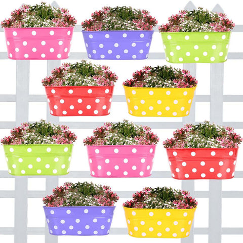 BEST COLOURFUL PLANT POTS - Oval Railing Planters Dotted
