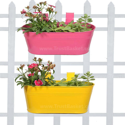 TrustBasket Offers And Promotions - Oval Railing Planter - Yellow and Magenta - Set of 2