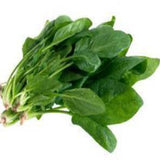 Palak seeds (Spinach) (Open Pollinated)
