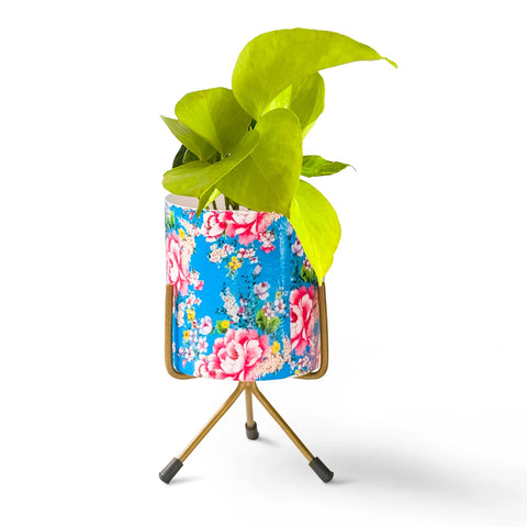 Colorful Designer made planters - Ziva Planter