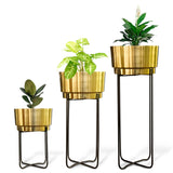 Creata Planter (Set of 3)