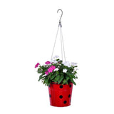 TrustBasket Dotted Round Planter with Hanging Wire Rope