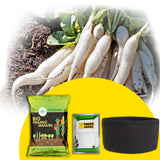 TrustBasket Micro greens Kit (Radish)