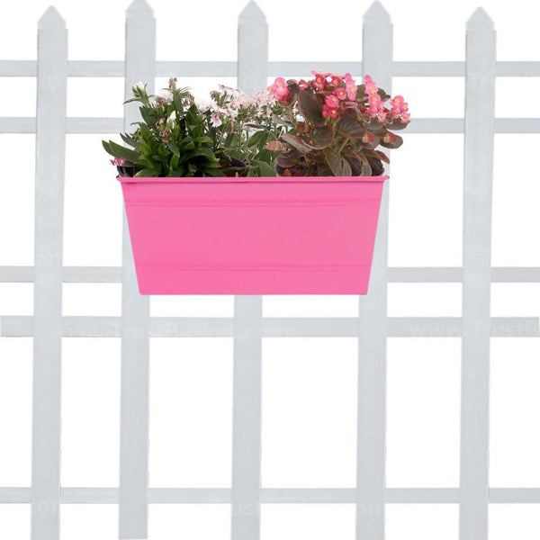 Rectangular Railing Planter - Magenta (12 Inch)