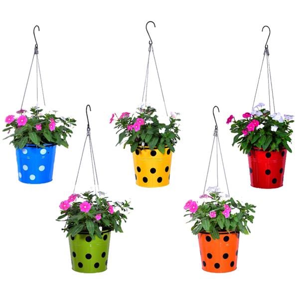 TrustBasket Dotted Round Planter with Hanging Wire Rope