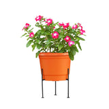 Rory Stand Suitable for 10 inch Pots