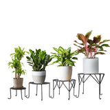 TrustBasket Aesthetic Planter Stands(Set of 4)