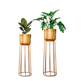 Reflex Planter - Set of 2