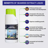 Seaweed Spray Kit