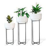 Creata Planter (Set of 3)
