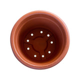 Bhuvi Round plastic pot 10