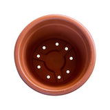 Bhuvi Round Plastic pots 12